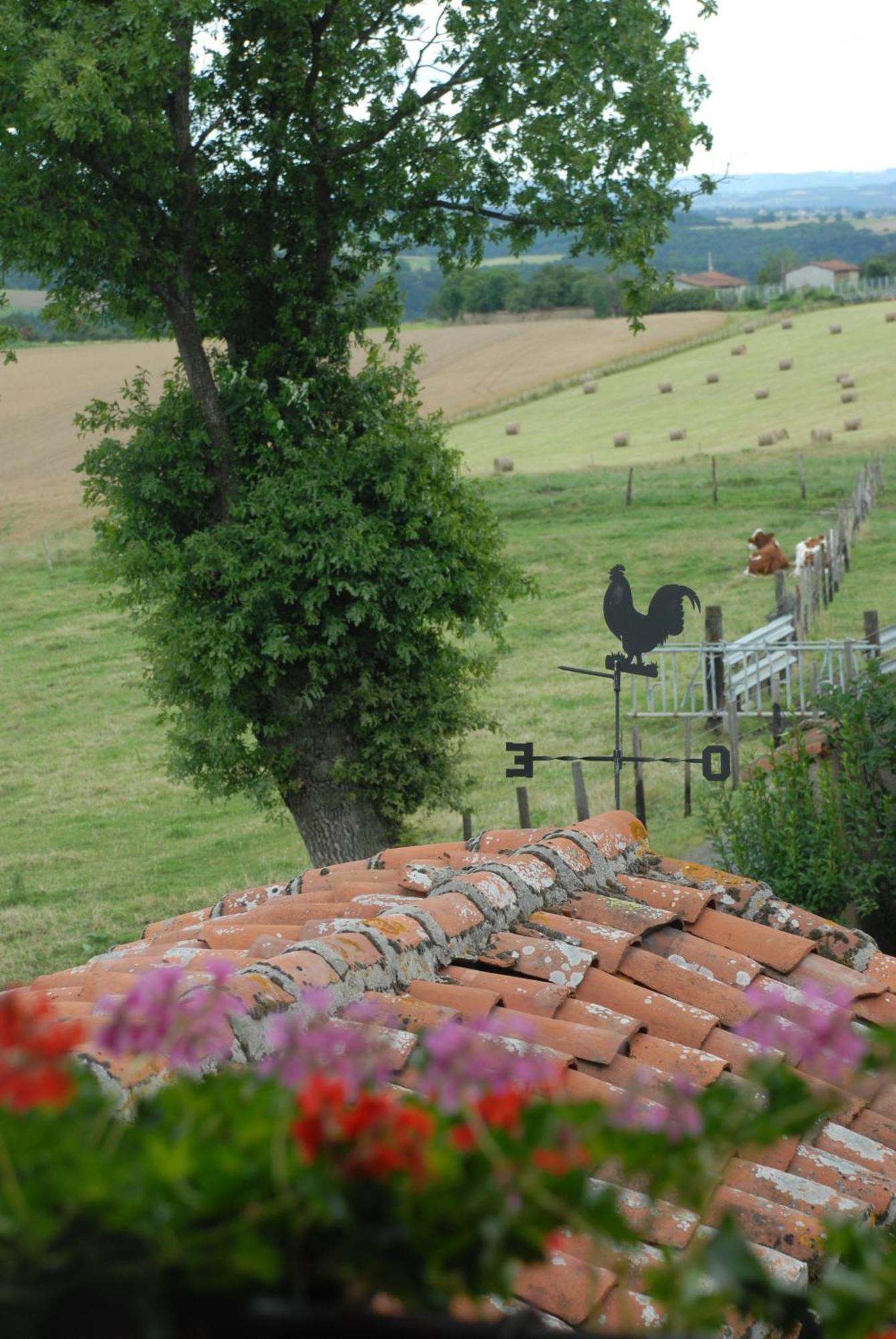Chez Jacotte Et Elia Bed & Breakfast Saint-Galmier Eksteriør bilde