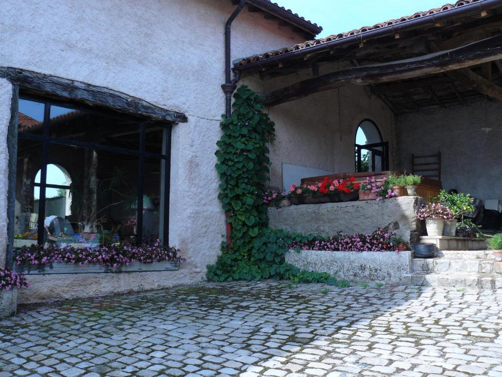 Chez Jacotte Et Elia Bed & Breakfast Saint-Galmier Eksteriør bilde